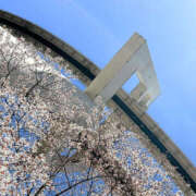 ヒメ日記 2026/03/14 19:58 投稿 愛川すずね ミセスファンタジー