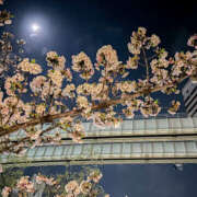 ヒメ日記 2026/03/28 23:21 投稿 愛川すずね ミセスファンタジー