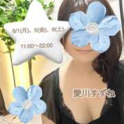 愛川すずね ※無題 ミセスファンタジー