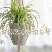 ヒメ日記 2026/09/22 09:37 投稿 愛川すずね ミセスファンタジー