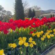 ヒメ日記 2026/04/03 18:02 投稿 かなめ ニューティアラ