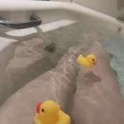 ヒメ日記 2026/02/20 22:04 投稿 白樺えるも ブルーバード