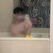 ヒメ日記 2026/02/21 15:15 投稿 白樺えるも ブルーバード