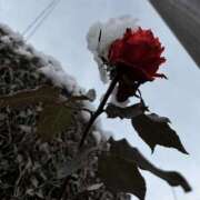 ヒメ日記 2026/02/18 01:57 投稿 井賀 うなぎ アロマージュ大宮