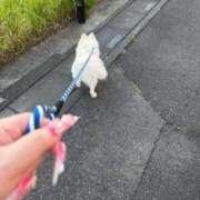 ヒメ日記 2026/05/21 20:23 投稿 あやな ぷよステーション大宮店