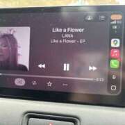 ヒメ日記 2026/02/17 12:39 投稿 みき 茨城日立ちゃんこ