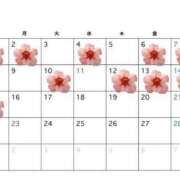 ヒメ日記 2026/02/12 18:26 投稿 かいり Lolipop 横浜
