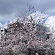 ヒメ日記 2026/03/27 15:29 投稿 はづき Lolipop 横浜