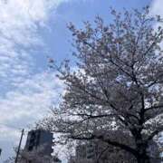 ヒメ日記 2026/03/30 13:26 投稿 はづき Lolipop 横浜