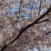 真奈美/まなみ ♡はる♡ ANEJE～アネージュ池袋～(ユメオト)