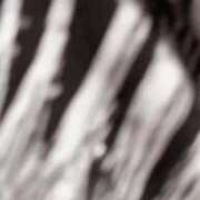 ヒメ日記 2026/02/13 21:48 投稿 しんじゅ IRIS一宮