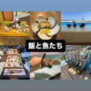 ヒメ日記 2026/02/21 21:30 投稿 日南めい-KINDAN- KINDAN-禁断-