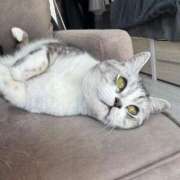 ヒメ日記 2026/03/06 21:04 投稿 日南めい-KINDAN- KINDAN-禁断-