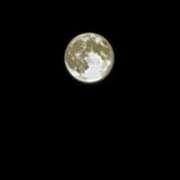 ヒメ日記 2026/02/12 17:24 投稿 葉月 川崎人妻城