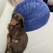 ヒメ日記 2026/03/04 00:06 投稿 葉月 川崎人妻城