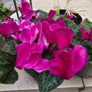 ヒメ日記 2026/03/13 15:14 投稿 葉月 川崎人妻城