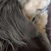 ヒメ日記 2026/03/15 00:12 投稿 葉月 川崎人妻城