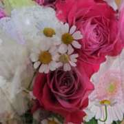 ヒメ日記 2026/02/21 23:47 投稿 くみ 西船人妻花壇