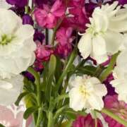 ヒメ日記 2026/02/27 09:04 投稿 くみ 西船人妻花壇