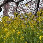 ヒメ日記 2026/03/04 23:33 投稿 くみ 西船人妻花壇