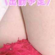 ヒメ日記 2026/02/13 13:43 投稿 ゆかり 川崎・東横人妻城