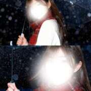 ヒメ日記 2026/03/21 09:10 投稿 せり CECIL