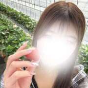 ヒメ日記 2026/04/14 21:16 投稿 せり CECIL