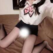 ヒメ日記 2026/02/20 08:06 投稿 せな ロイヤル土佐