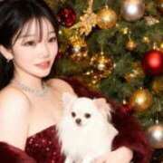 ヒメ日記 2026/04/01 11:21 投稿 ジス スピードエコ京橋店