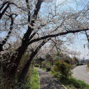 ヒメ日記 2026/03/31 20:37 投稿 ここな Hera club