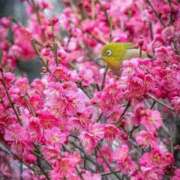 ヒメ日記 2026/02/28 00:08 投稿 みさお 水戸人妻花壇