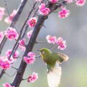 ヒメ日記 2026/03/02 22:29 投稿 みさお 水戸人妻花壇