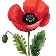 ヒメ日記 2026/02/24 10:48 投稿 まりあ Salon du M-えっちなお姉さんのM性感デリバリー-五反田店