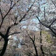 ヒメ日記 2026/04/01 21:08 投稿 まりあ Salon du M-えっちなお姉さんのM性感デリバリー-五反田店