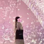 ヒメ日記 2026/03/04 05:13 投稿 のあ サマンサ 堺店