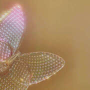 ヒメ日記 2026/03/07 08:18 投稿 のあ サマンサ 堺店