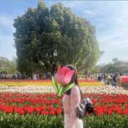 ヒメ日記 2026/03/08 00:03 投稿 のあ サマンサ 堺店