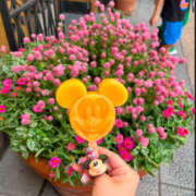 ヒメ日記 2026/03/10 06:24 投稿 のあ サマンサ 堺店