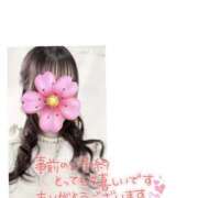 ヒメ日記 2026/03/27 19:04 投稿 のあ サマンサ 堺店