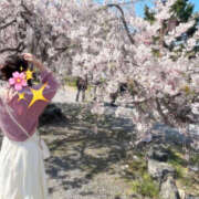 ヒメ日記 2026/04/01 19:14 投稿 のあ サマンサ 堺店