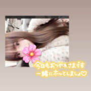 ヒメ日記 2026/04/06 20:11 投稿 のあ サマンサ 堺店