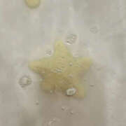 ヒメ日記 2026/04/19 04:08 投稿 のあ サマンサ 堺店