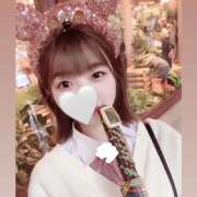 ヒメ日記 2026/02/18 02:40 投稿 リミ 姫路ラビット