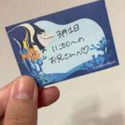 ヒメ日記 2026/03/01 22:13 投稿 ことり TOKYO BUNNYS CLUB