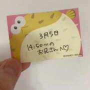 ヒメ日記 2026/03/05 22:34 投稿 ことり TOKYO BUNNYS CLUB