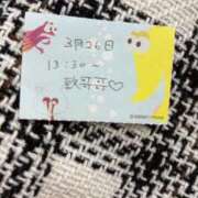 ヒメ日記 2026/03/26 19:19 投稿 ことり TOKYO BUNNYS CLUB