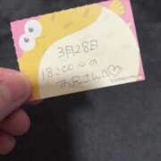 ヒメ日記 2026/03/28 23:43 投稿 ことり TOKYO BUNNYS CLUB