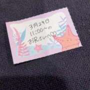 ヒメ日記 2026/03/29 17:53 投稿 ことり TOKYO BUNNYS CLUB