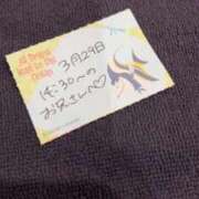 ヒメ日記 2026/03/29 20:19 投稿 ことり TOKYO BUNNYS CLUB