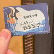 ヒメ日記 2026/03/30 17:13 投稿 ことり TOKYO BUNNYS CLUB